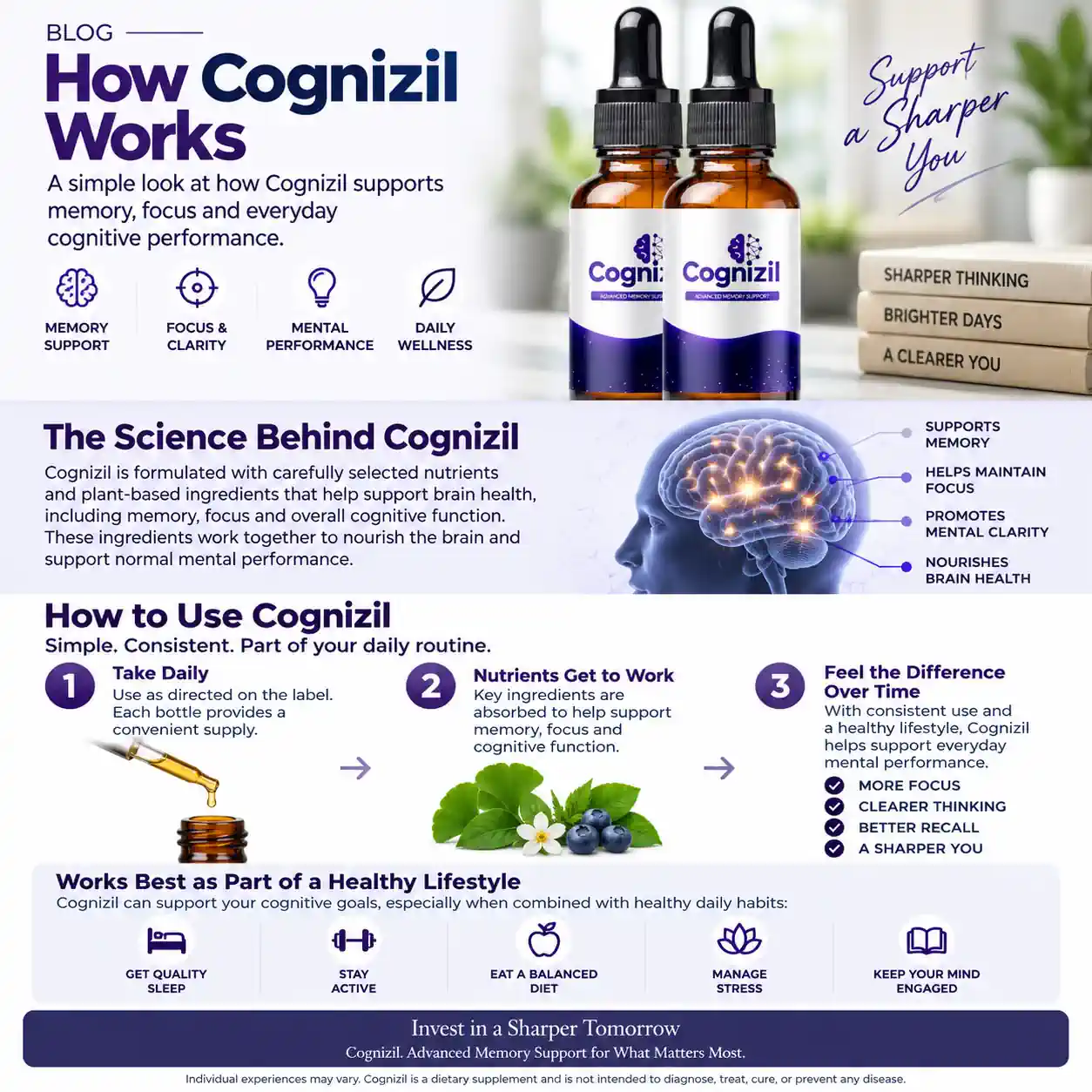 Cognizil how it works diagram